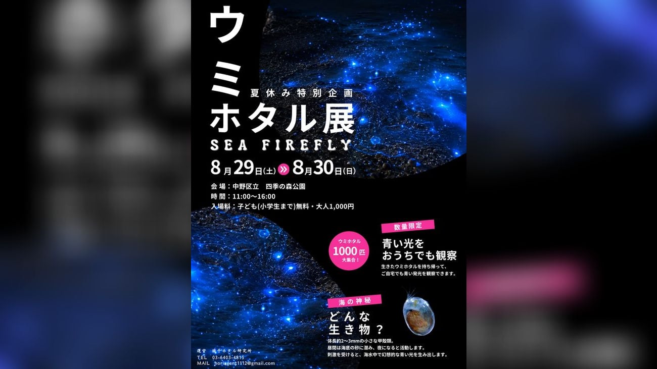 「中野ウミホタル展 SEA FIREFLY」の告知チラシ。青く発光する海の写真を背景に、8月29日（土）から8月30日（日）、会場は中野区立四季の森公園、時間11時から16時、入場料は子ども（小学生まで）無料・大人1,000円と書かれている。「ウミホタル1000匹大集合！」「青い光をおうちでも観察」の見出しもある